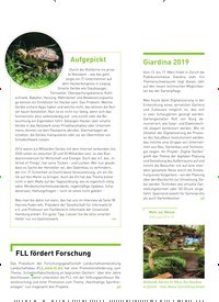 Titelbild der Ausgabe 2/2019 von IM FOKUS: Aufgepickt. Zeitschriften als Abo oder epaper bei United Kiosk online kaufen.