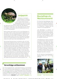 Titelbild der Ausgabe 4/2019 von IM FOKUS: Aufgepickt. Zeitschriften als Abo oder epaper bei United Kiosk online kaufen.
