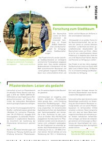 Titelbild der Ausgabe 4/2019 von IM FOKUS: Pflasterdecken: Leiser als gedacht. Zeitschriften als Abo oder epaper bei United Kiosk online kaufen.