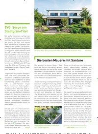 Titelbild der Ausgabe 6/2019 von ZVG: Sorge um Stadtgrün-Titel. Zeitschriften als Abo oder epaper bei United Kiosk online kaufen.