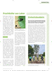 Titelbild der Ausgabe 5/2021 von Florum für Grünes Wissen. Zeitschriften als Abo oder epaper bei United Kiosk online kaufen.
