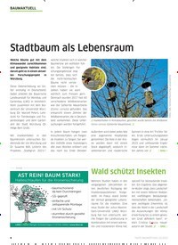 Titelbild der Ausgabe 3/2022 von Stadtbaum als Lebensraum. Zeitschriften als Abo oder epaper bei United Kiosk online kaufen.