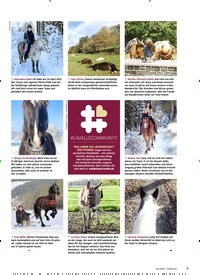 Titelbild der Ausgabe 2/2023 von #CAVALLOCOMMUNITY. Zeitschriften als Abo oder epaper bei United Kiosk online kaufen.