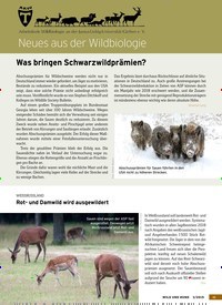 Titelbild der Ausgabe 3/2019 von Neues aus der Wildbiologie. Zeitschriften als Abo oder epaper bei United Kiosk online kaufen.