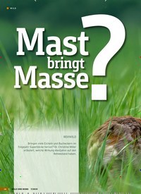 Titelbild der Ausgabe 7/2019 von Mast Mabsrisnge?:REHWILD. Zeitschriften als Abo oder epaper bei United Kiosk online kaufen.
