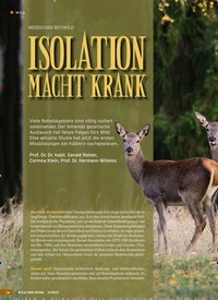 Titelbild der Ausgabe 9/2019 von HESSISCHES ROTWILD: ISOLATION MACHT KRANK. Zeitschriften als Abo oder epaper bei United Kiosk online kaufen.