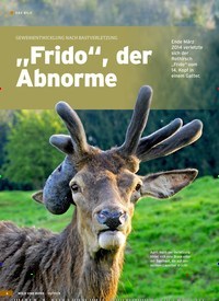 Titelbild der Ausgabe 10/2019 von GEWEIHENTWICKLUNG NACH BASTVERLETZUNG: „Frido“, der Abnorme. Zeitschriften als Abo oder epaper bei United Kiosk online kaufen.