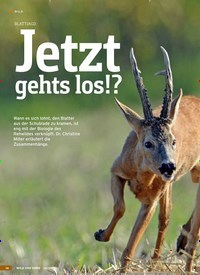 Titelbild der Ausgabe 14/2019 von BLATTJAGD: Jetzt gehts los!?. Zeitschriften als Abo oder epaper bei United Kiosk online kaufen.