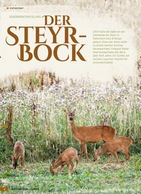 Titelbild der Ausgabe 16/2019 von FOTOSTORY: GEHÖRNENTWICKLUNG DER STEYRBOCK. Zeitschriften als Abo oder epaper bei United Kiosk online kaufen.