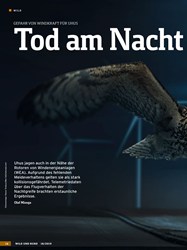 Titelbild der Ausgabe 18/2019 von GEFAHR VON WINDKRAFT FÜR UHUS: Tod am Nacht himmel?. Zeitschriften als Abo oder epaper bei United Kiosk online kaufen.