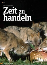 Titelbild der Ausgabe 21/2019 von WOLFSMANAGEMENT: Zeit zu handeln. Zeitschriften als Abo oder epaper bei United Kiosk online kaufen.