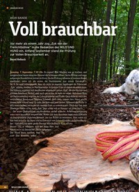 Titelbild der Ausgabe 21/2019 von WUH-BANDE: Voll brauchbar. Zeitschriften als Abo oder epaper bei United Kiosk online kaufen.
