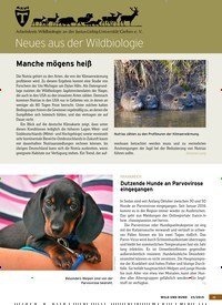 Titelbild der Ausgabe 23/2019 von Neues aus der Wildbiologie. Zeitschriften als Abo oder epaper bei United Kiosk online kaufen.