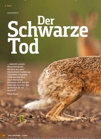 Titelbild der Ausgabe 1/2020 von HASENPEST: Der Schwarze Tod. Zeitschriften als Abo oder epaper bei United Kiosk online kaufen.