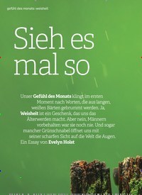 Titelbild der Ausgabe 11/2019 von Sieh es mal so. Zeitschriften als Abo oder epaper bei United Kiosk online kaufen.