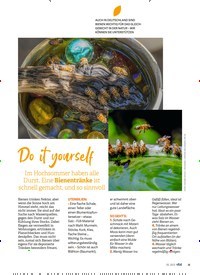 Titelbild der Ausgabe 5/2023 von Do it yourself. Zeitschriften als Abo oder epaper bei United Kiosk online kaufen.
