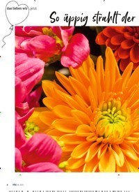 Titelbild der Ausgabe 6/2023 von So üppig strahlt der Herbst. Zeitschriften als Abo oder epaper bei United Kiosk online kaufen.