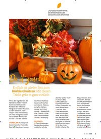 Titelbild der Ausgabe 6/2023 von Do it yourself. Zeitschriften als Abo oder epaper bei United Kiosk online kaufen.