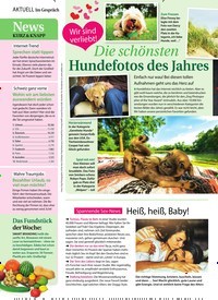 Titelbild der Ausgabe 32/2018 von News KURZ & KNAPP. Zeitschriften als Abo oder epaper bei United Kiosk online kaufen.