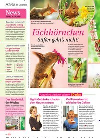 Titelbild der Ausgabe 12/2019 von Eichhörnchen Süßer geht’s nicht!. Zeitschriften als Abo oder epaper bei United Kiosk online kaufen.