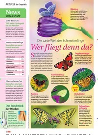 Titelbild der Ausgabe 28/2019 von Wer fliegt denn da?. Zeitschriften als Abo oder epaper bei United Kiosk online kaufen.