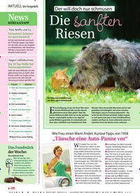 Titelbild der Ausgabe 35/2019 von Der will doch nur schmusen: Die sanften Riesen. Zeitschriften als Abo oder epaper bei United Kiosk online kaufen.