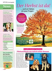 Titelbild der Ausgabe 39/2019 von So süß ist „Strolchs” Geschichte: Filmhund Monte war mal ein echter Streuner. Zeitschriften als Abo oder epaper bei United Kiosk online kaufen.