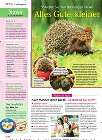 Titelbild der Ausgabe 40/2019 von So helfen Sie dem stacheligen Racker Alles Gute, kleiner Igel. Zeitschriften als Abo oder epaper bei United Kiosk online kaufen.