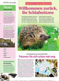 Titelbild der Ausgabe 11/2020 von Igel & Co. sind aufgewacht: Willkommen zurück, ihr Schlafmützen. Zeitschriften als Abo oder epaper bei United Kiosk online kaufen.