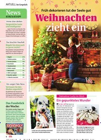 Titelbild der Ausgabe 48/2020 von Früh dekorieren tut der Seele gut: Weihnachten zieht ein. Zeitschriften als Abo oder epaper bei United Kiosk online kaufen.