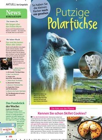 Titelbild der Ausgabe 49/2020 von Putzige Polarfüchse. Zeitschriften als Abo oder epaper bei United Kiosk online kaufen.