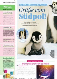 Titelbild der Ausgabe 3/2021 von Am 20.1. ist Ehrentag der Pinguine: Grüße vom Südpol!. Zeitschriften als Abo oder epaper bei United Kiosk online kaufen.