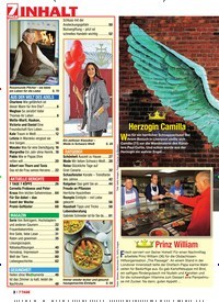 Titelbild der Ausgabe 8/2019 von Das Tagebuch von Hofberichterstatter Joerg Turcer. Zeitschriften als Abo oder epaper bei United Kiosk online kaufen.