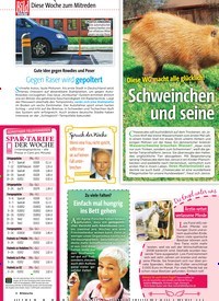 Titelbild der Ausgabe 29/2019 von Diese WG macht alle glücklich!: Schweinchen und seine Freunde. Zeitschriften als Abo oder epaper bei United Kiosk online kaufen.