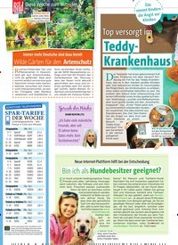Titelbild der Ausgabe 34/2019 von Teddy- Krankenhaus. Zeitschriften als Abo oder epaper bei United Kiosk online kaufen.