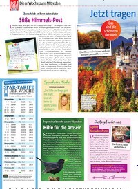 Titelbild der Ausgabe 42/2019 von Jetzt tragendie Wälder ihr buntes Gewand. Zeitschriften als Abo oder epaper bei United Kiosk online kaufen.
