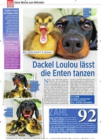 Titelbild der Ausgabe 13/2020 von Diese Woche zum Mitreden: BEI DEM PIEPT’S WOHL! Dackel Loulou lässt die Enten tanzen. Zeitschriften als Abo oder epaper bei United Kiosk online kaufen.