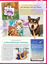 Titelbild der Ausgabe 8/2019 von Seine Gemälde werden sogar gekauft :Der Künstler auf vier Pfoten. Zeitschriften als Abo oder epaper bei United Kiosk online kaufen.
