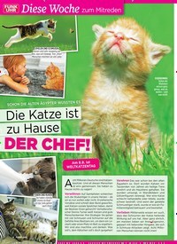 Titelbild der Ausgabe 31/2019 von Diese Woche zum Mitreden: SCHON DIE ALTEN ÄGYPTER WUSSTEN ES: Die Katze ist zu Ha use: DER CHEF!. Zeitschriften als Abo oder epaper bei United Kiosk online kaufen.
