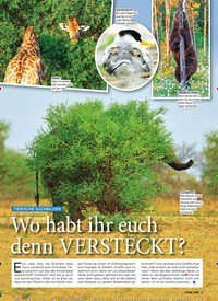 Titelbild der Ausgabe 47/2019 von TIERISCHE SUCHBILDER: Wo habt ihr euch denn VERSTECKT?. Zeitschriften als Abo oder epaper bei United Kiosk online kaufen.