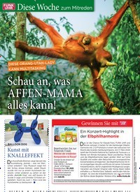 Titelbild der Ausgabe 1/2020 von DIESE ORANG -UTAN-LADY KANN MULTITASKING: Schau an, was AFFEN-MAMA alles kann!. Zeitschriften als Abo oder epaper bei United Kiosk online kaufen.