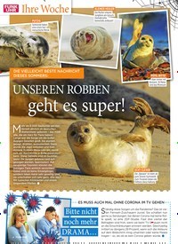 Titelbild der Ausgabe 34/2021 von Kreieren Sie Ihre eigene Foto- und Videoshow!. Zeitschriften als Abo oder epaper bei United Kiosk online kaufen.