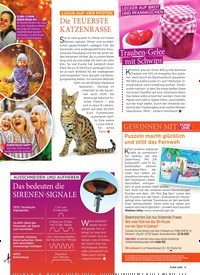 Titelbild der Ausgabe 41/2021 von PROMIS als Praktikanten im Krankenhaus. Zeitschriften als Abo oder epaper bei United Kiosk online kaufen.