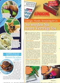 Titelbild der Ausgabe 42/2021 von Auch Niederlagen können Siege sein. Zeitschriften als Abo oder epaper bei United Kiosk online kaufen.