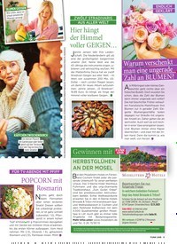Titelbild der Ausgabe 44/2021 von Kein Geld zum Leben!. Zeitschriften als Abo oder epaper bei United Kiosk online kaufen.