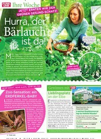 Titelbild der Ausgabe 12/2022 von Hurra, der Bärlauchist da!. Zeitschriften als Abo oder epaper bei United Kiosk online kaufen.
