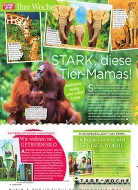 Titelbild der Ausgabe 16/2022 von STARK, diese Tier-Mamas!. Zeitschriften als Abo oder epaper bei United Kiosk online kaufen.