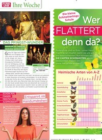 Titelbild der Ausgabe 22/2022 von Wer FLATTERT denn da?. Zeitschriften als Abo oder epaper bei United Kiosk online kaufen.