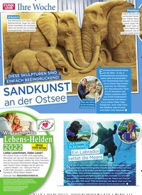 Titelbild der Ausgabe 25/2022 von SANDKUNST an der Ostsee. Zeitschriften als Abo oder epaper bei United Kiosk online kaufen.