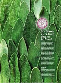Titelbild der Ausgabe 1/2022 von Richtig essen – gesund bleiben. Zeitschriften als Abo oder epaper bei United Kiosk online kaufen.
